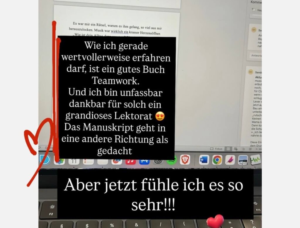 Screenshot Instagram-Story Claudia über mein Lektorat ihres Entwicklungsromans