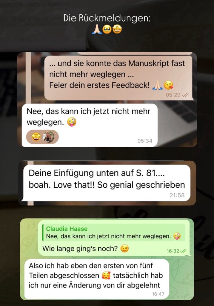 Screenshot Claudia Feedback Instagram-Story 4